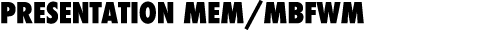 PRESENTATION MEM/MBFWM